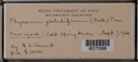 Image Associated With the Occurence